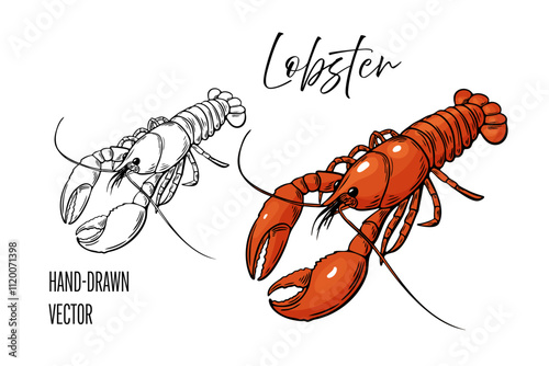 Seafood, lobster fish. Line drawing engraving vector, Hand drawn food.