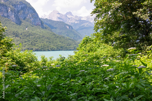 Lush greenery framing majestic mountain peak Croz Dell'Altissimo in pristine Brenta Dolomites, National Park Adamello Brenta, Trentino, Italy. Wanderlust at calm alpine lake Lago di Molveno in summer photo