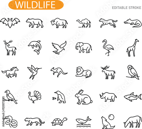 Wildlife Animal Icons Mammal, Bird, Reptile, Amphibian Collection