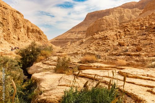 Wadi Arugot National Park is a desolate rocky landscape photo