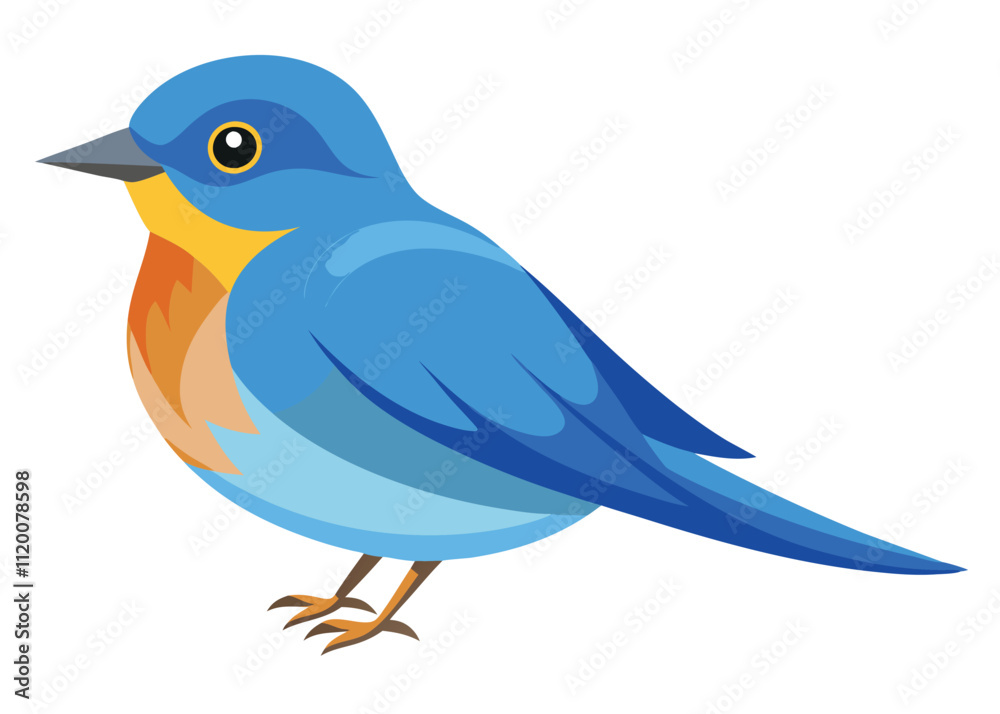 Obraz premium bluebird-on-white-background (1).eps