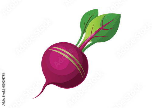 beetroot-on-white-background.eps