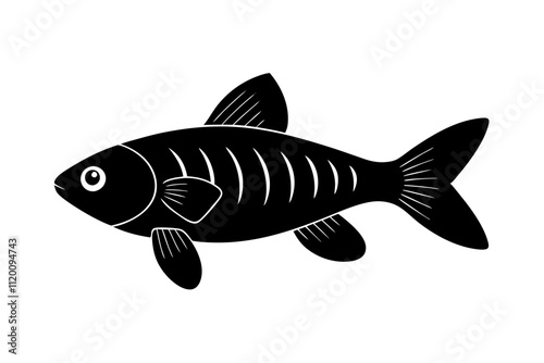 Cherry Barb Silhouette (Puntius titteya)  Distinct Red Freshwater Fish Design for Art & Prints