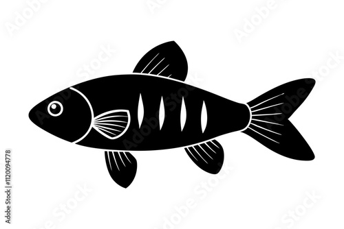 Cherry Barb Silhouette (Puntius titteya)  Distinct Red Freshwater Fish Design for Art & Prints