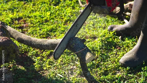 Chainsaw cutting wood. Man carving wood with a elettric saw. photo