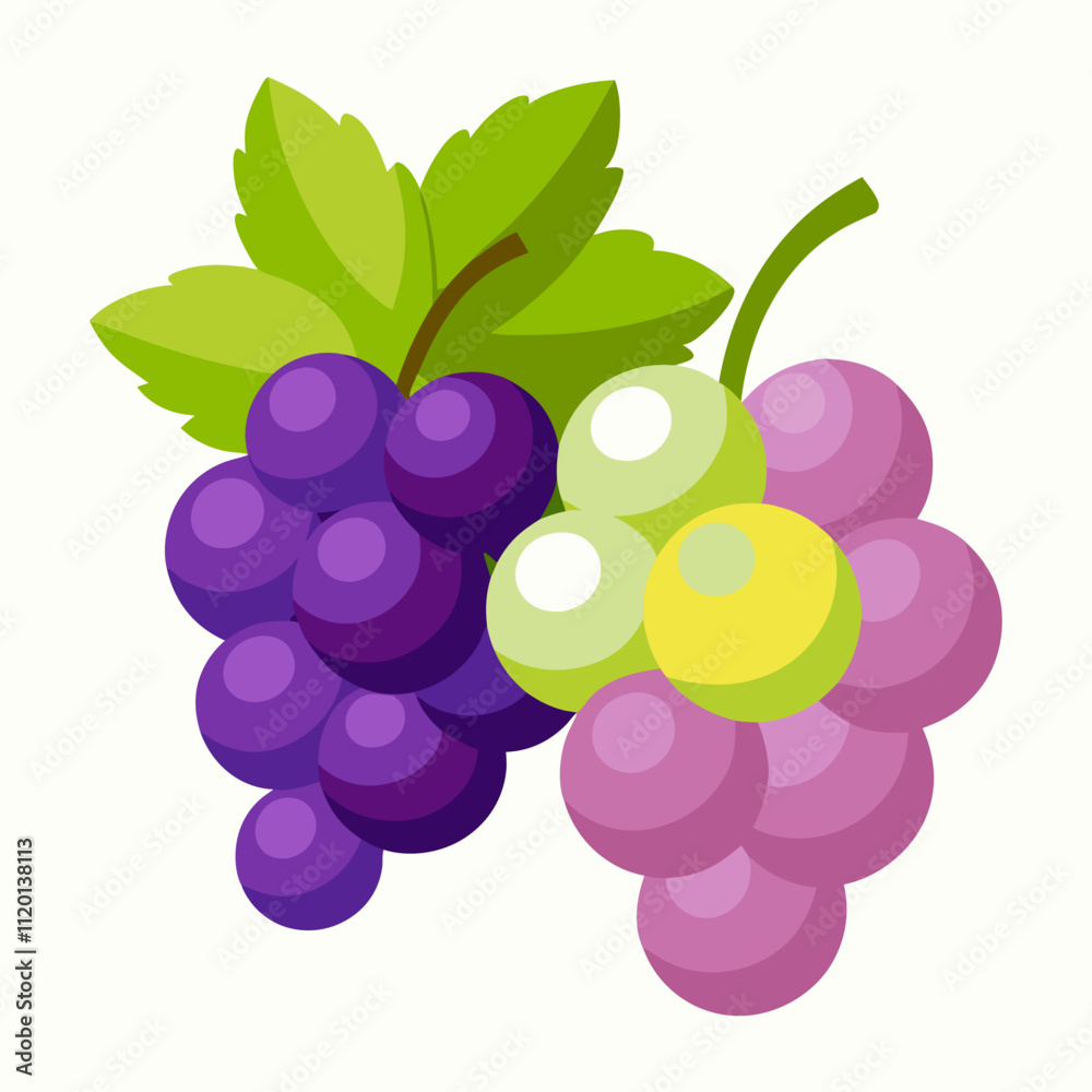 Fresh Grape Illustrations for Creative Projects Fresh Grape Illustrations for Creative Projects
