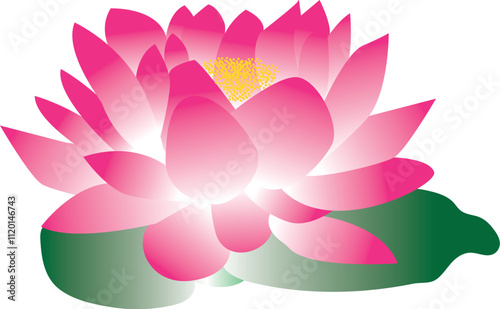 lotus