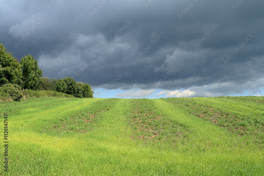 Storm. Storm.