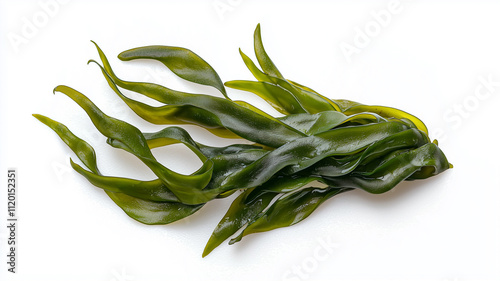 Isolated laminaria, spirulina, fucus, litotamnia seaweed, white background
 photo