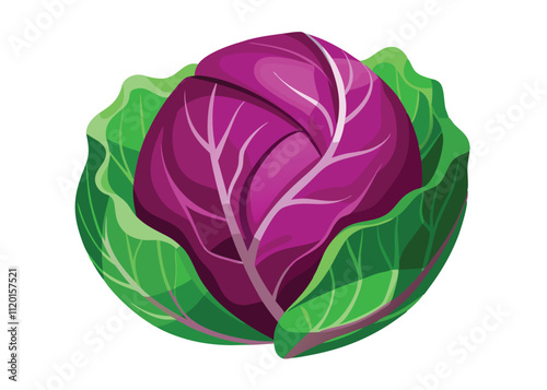 cabbage isolated on white background