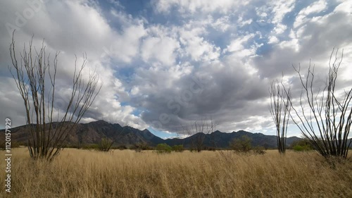 Time lapse of afternoon clouds over mountains and tall grasses