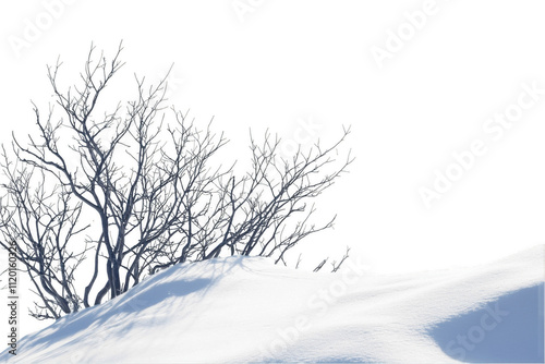 Snow landscape isolated on a white background background
