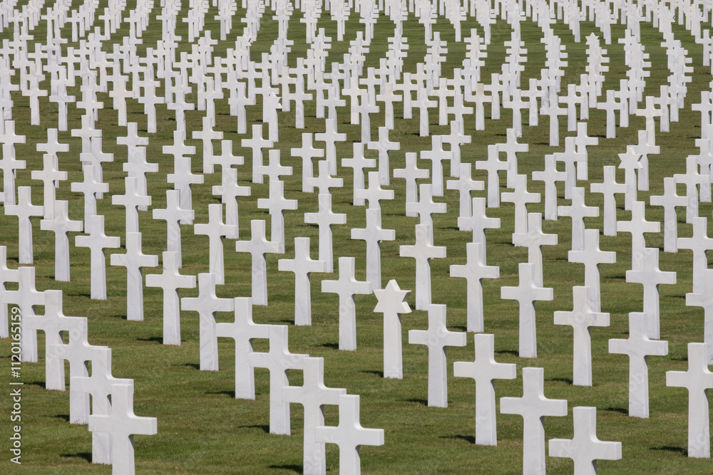 Fototapeta premium white crosses on a american cemetery in Belgium