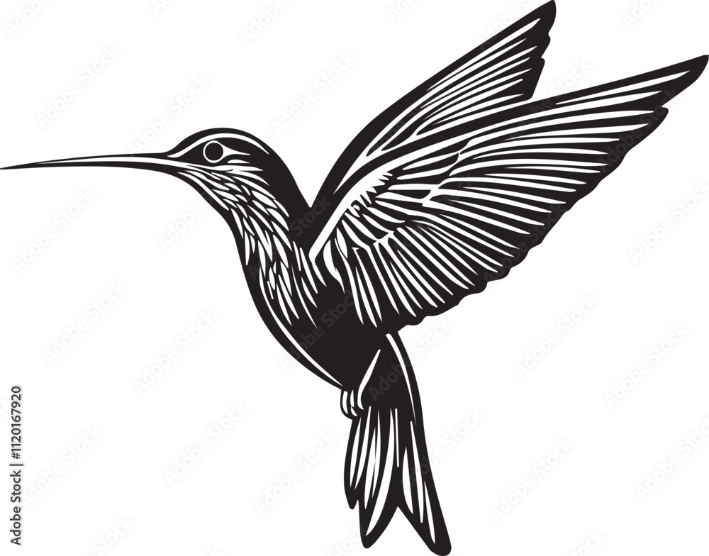 Obraz premium Silhouette of a hummingbird in flight graphic vector on white background