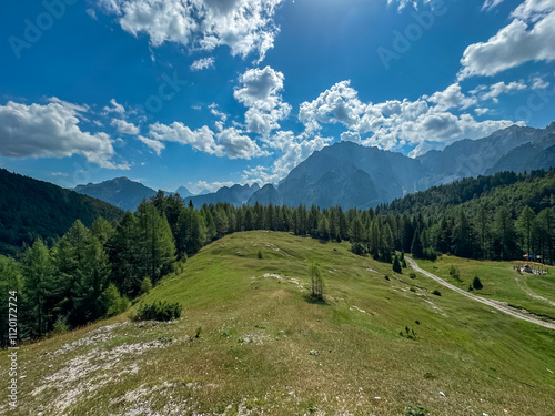 Scenic hiking path through lush meadow with view of majestic mountains peaks Julian Alps in Somdogna, Friuli Venezia Giulia, Italy. Slopes covered in coniferous forest. Exploration of natural beauty photo