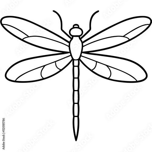 dragonfly illustration