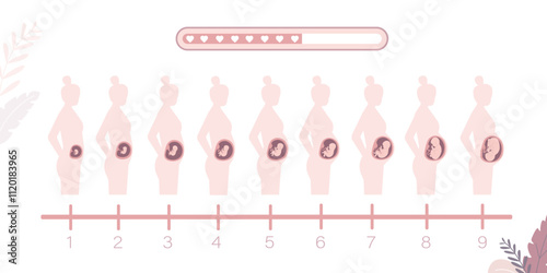 Silhouette of girl with changes in woman's body in pregnancy. Main stages of pregnancy. Maternity, pregnant woman. Loading bar. Three trimesters. Monthly stage,