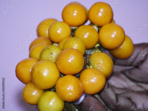 Orange citrus fruits Rasbhari photo