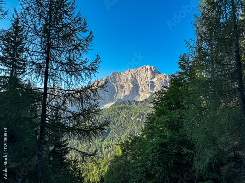 Silhouette of coniferous forest framing scenic view of mountain peak Jof di Montasio. Majestic ridges of Julian Alps seen from Dogna, Friuli Venezia Giulia, Italy. Wanderlust in alpine wilderness photo