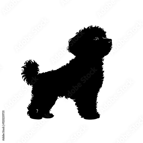 2d full body illustration full body shot of a Bichon Frise dog silhouette isolated on a white transparent background photo