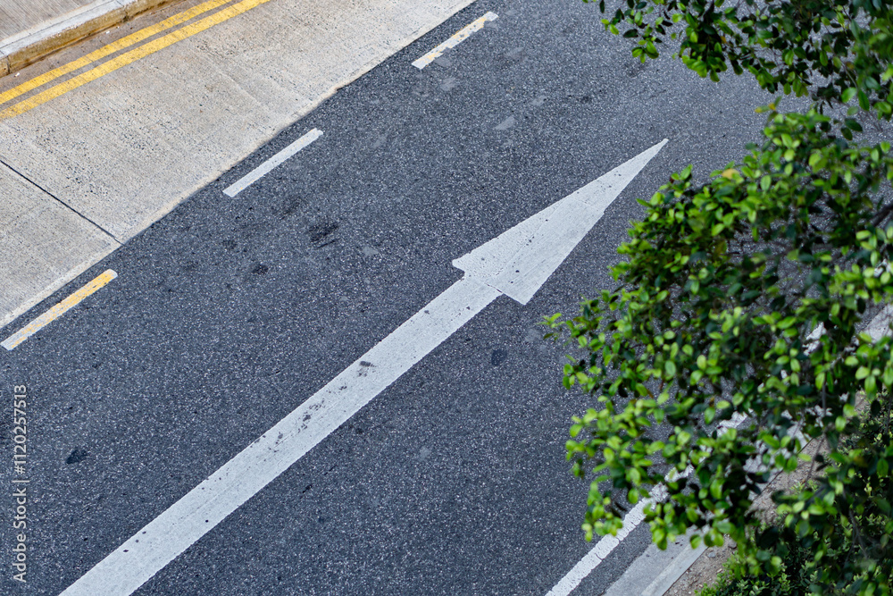 Fototapeta premium arrow marking on a road with a tree in the foreground