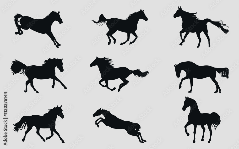 Fototapeta premium A set of black silhouettes of a sports horse. Vector on black background