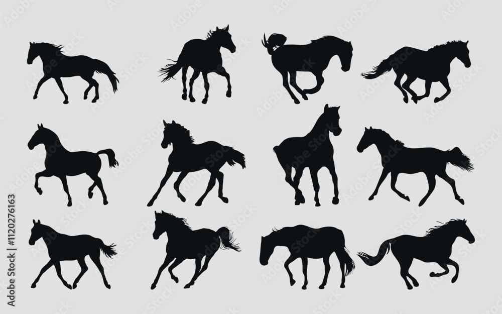 Obraz premium A set of black silhouettes of a sports horse. Vector on black background