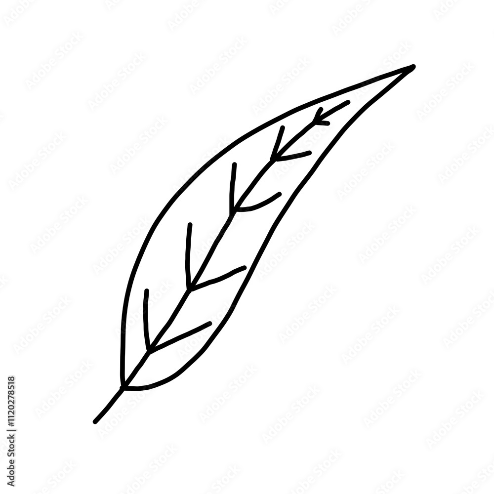 Leaf outline art Leaf outline art