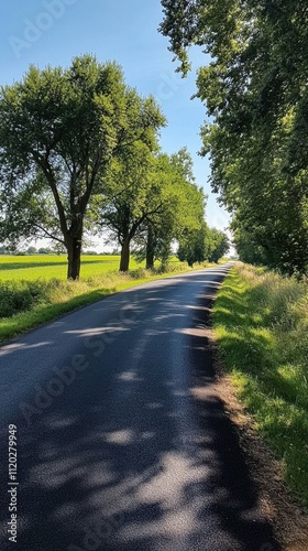 A road with trees on either side and a clear blue sky