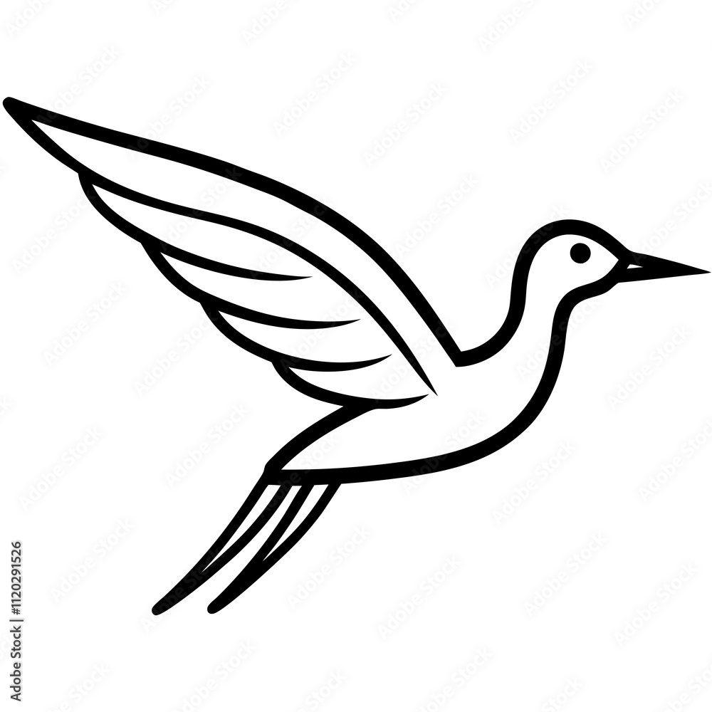 Obraz premium black and white dove