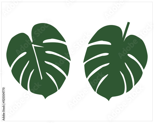 The Best Leaf Vector Design