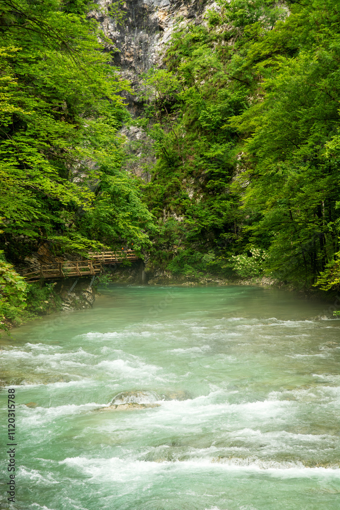 Beautiful Vintgar canyon in Slovenia Beautiful Vintgar canyon in Slovenia