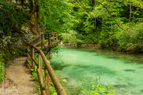 Beautiful Vintgar canyon in Slovenia photo