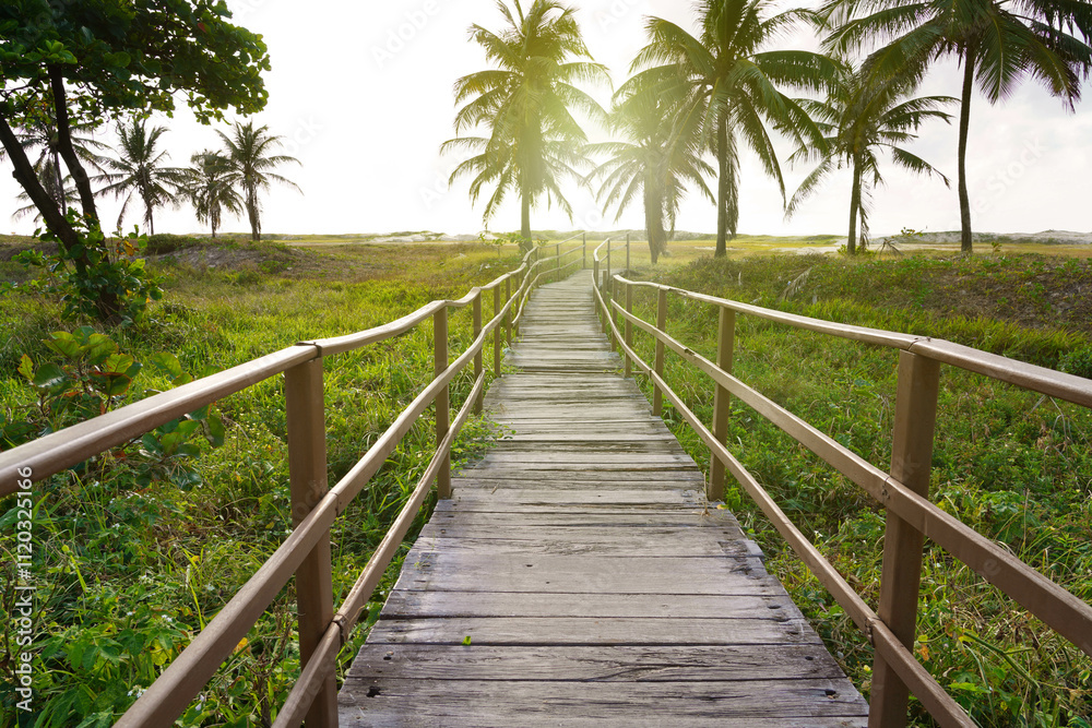 Footbridge to the beach with palm trees in Aracaju, Sergipe, Brazil Footbridge to the beach with palm trees in Aracaju, Sergipe, Brazil