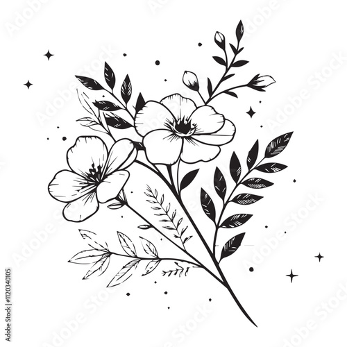 Minimal botanical graphic sketch drawing