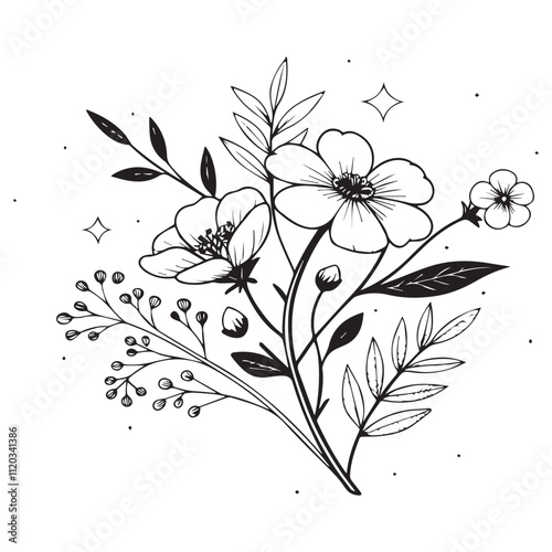 Minimal botanical graphic sketch drawing