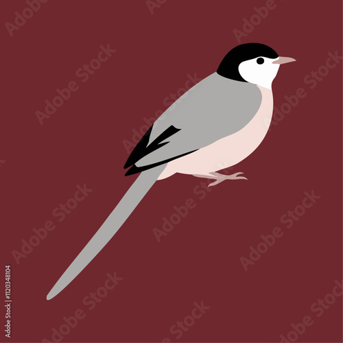 Flat vector illustration of a stylized long-tailed tit with soft gray body, pink accents, and long tail, minimalistic design, plain white background