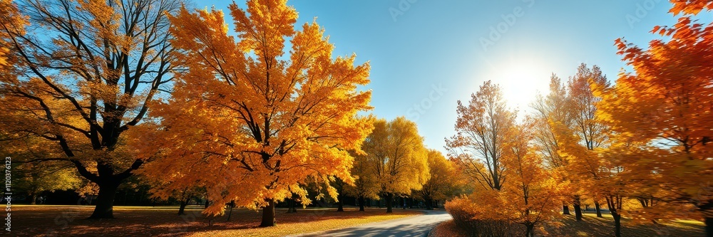 Bright autumn day with vibrant foliage lining a serene pathway under clear blue skies Bright autumn day with vibrant foliage lining a serene pathway under clear blue skies