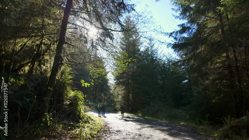 Friends Hiking on Sunny Forest Trail