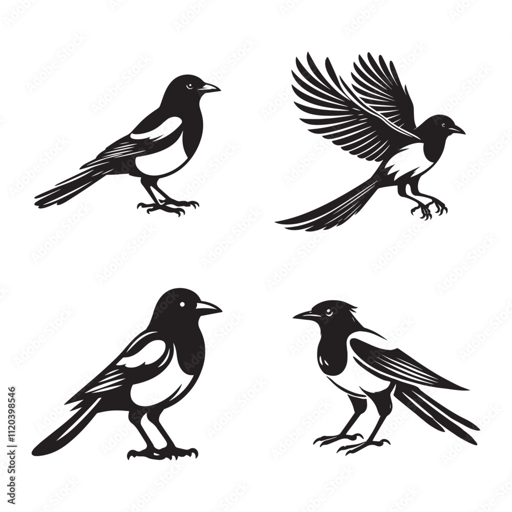 Magpie Silhouette Vector Set - Elegant Black and White Bird Illustrations Magpie Silhouette Vector Set - Elegant Black and White Bird Illustrations