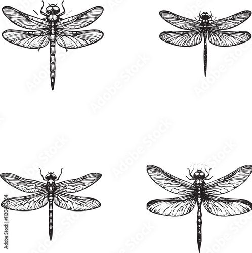 Hand-Drawn Dragonfly Illustrations Set
