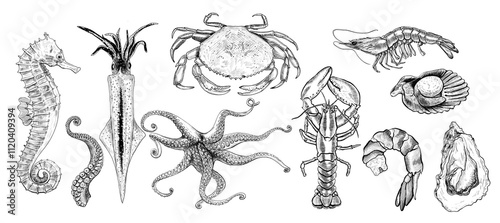 Seafood Hand drawn isolated illustration. photo