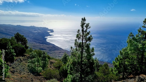 Tableau sur toile Pinar el Hierro