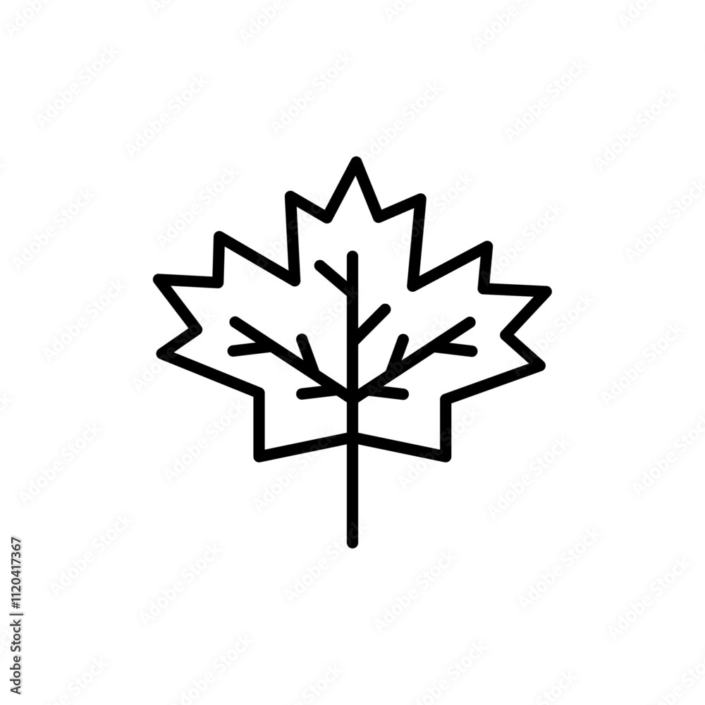 Maple leaf icon Thin line art collection Maple leaf icon Thin line art collection