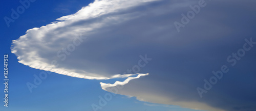 Shark Cloud - This cloud has taken on the profile of a shark photo