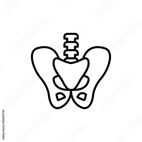 Pelvic area icon Thin line art collection