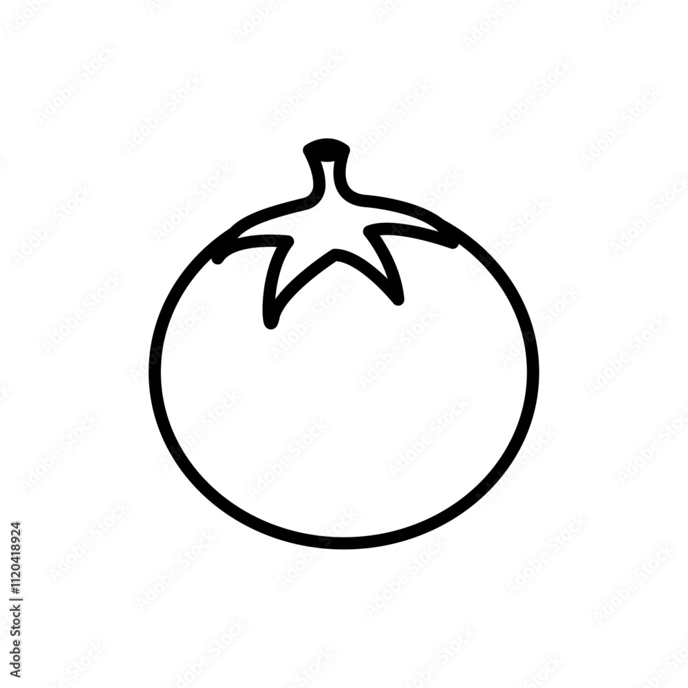 Tomato icon Thin line art collection Tomato icon Thin line art collection