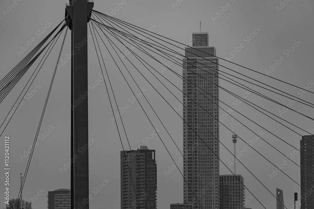Fototapeta premium Die Stadt Rotterdam in den Niederlanden