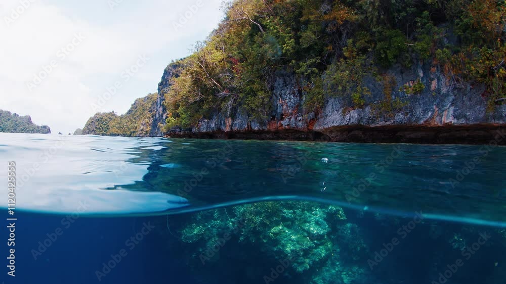 Camera moving forward showing a tropical island and a coral reef. Raja Ampat, Indonesia Camera moving forward showing a tropical island and a coral reef. Raja Ampat, Indonesia