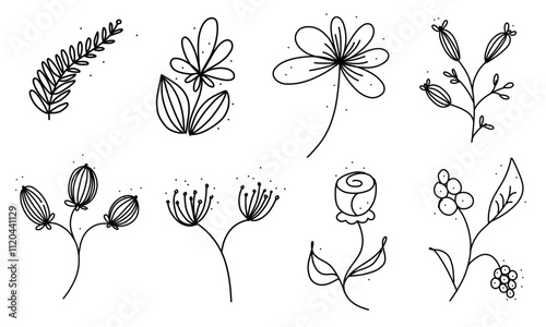Ensemble de fleurs abstraites, line art, doodles, floral, vectoriel, eps, ai, png, jpg